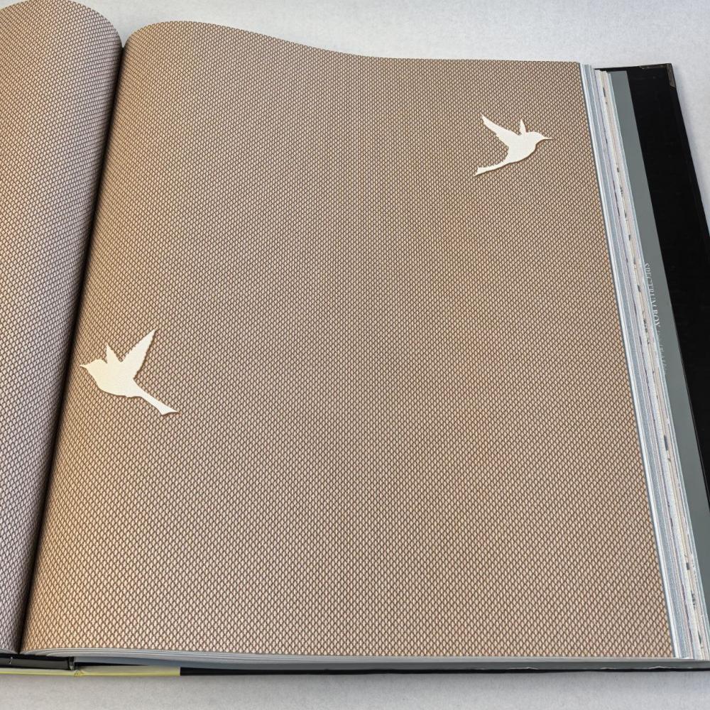 Andrea Rossi Spectrum Box 54458-13