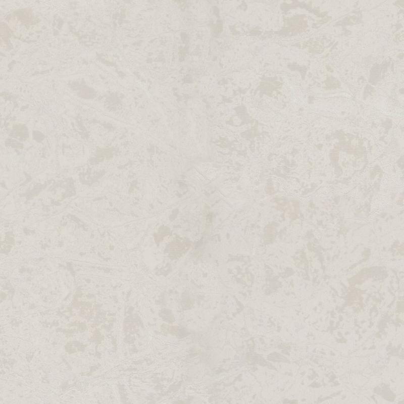 Zambaiti Parati Philipp Plein Z 80020