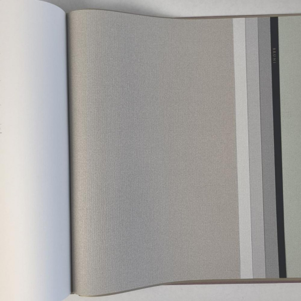 Alessandro Allori Bruni RBN 1005-11