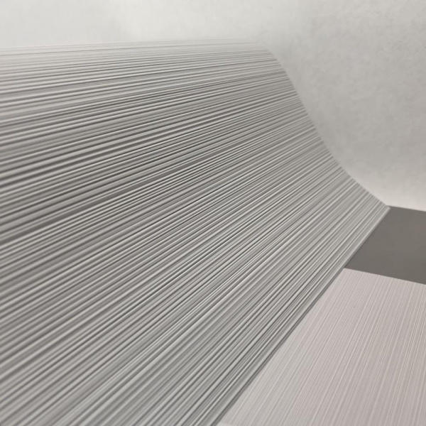 Andrea Rossi Berggi 54447-9