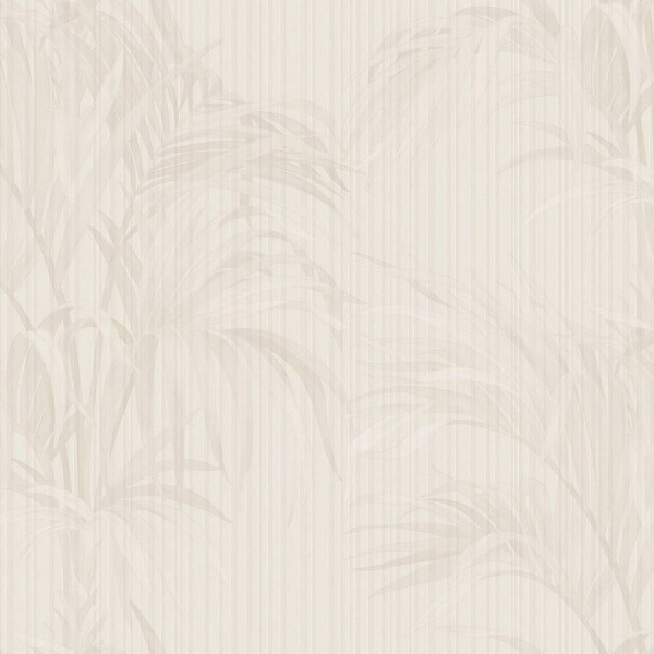 Zambaiti Parati Philipp Plein Z 81018